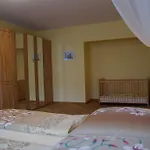 شقة 