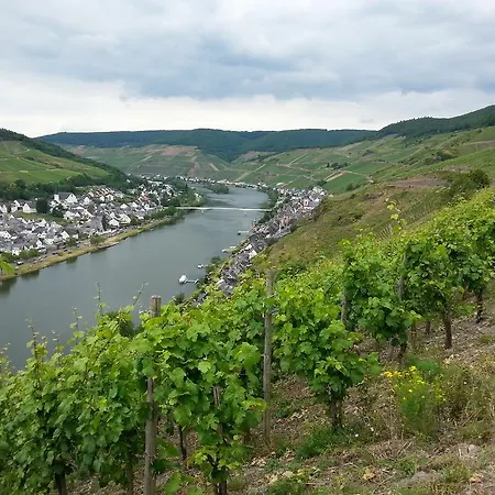 An Der Mosel Apartment *