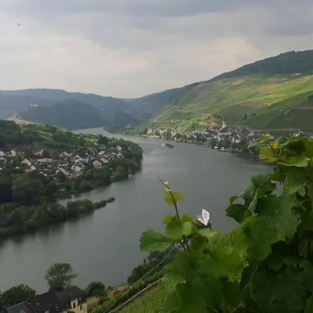 An Der Mosel Apartment Zell